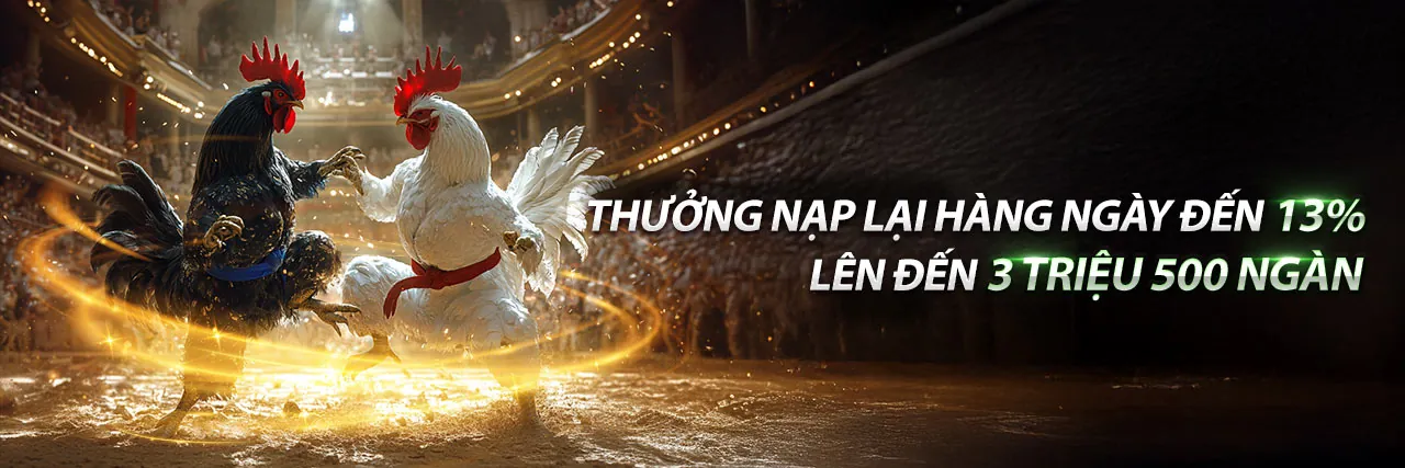 Đá gà trực tuyến kuwin 2026